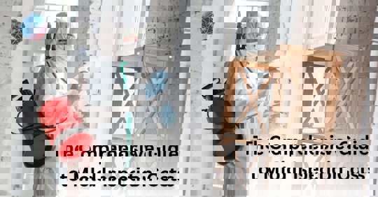 Mold Inspection Costs