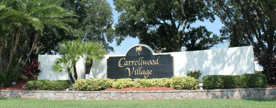 Carrollwood Village